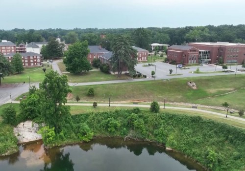 The Impact of Schools and Universities in Fundraising Campaigns in Charleston County, SC: A Community Perspective